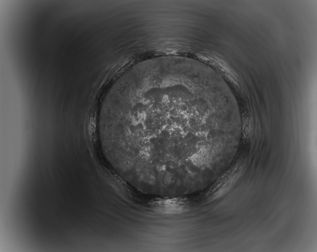 X0000097810365200803201422