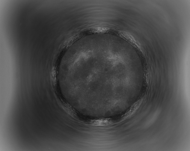 X0000097810366200803201422