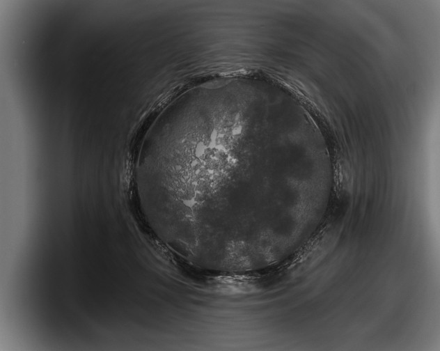 X0000097810367200803201422