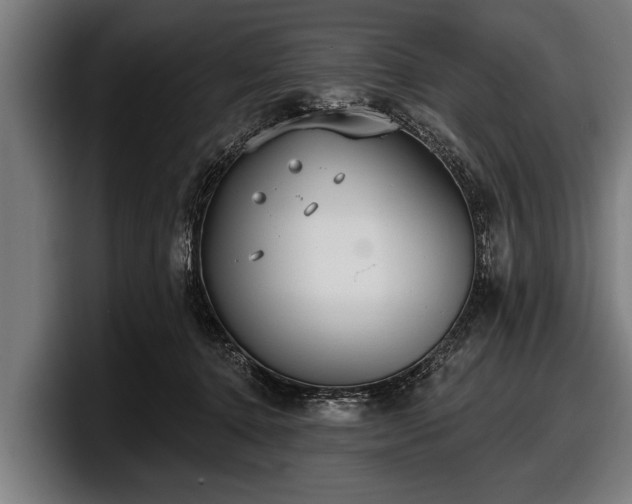 X0000097810368200803201422