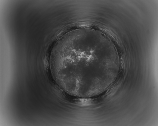 X0000097810371200803201422