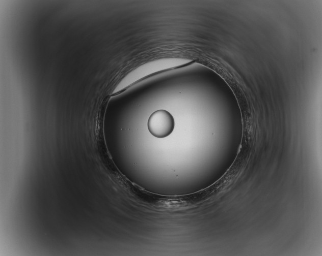 X0000097810372200803201422