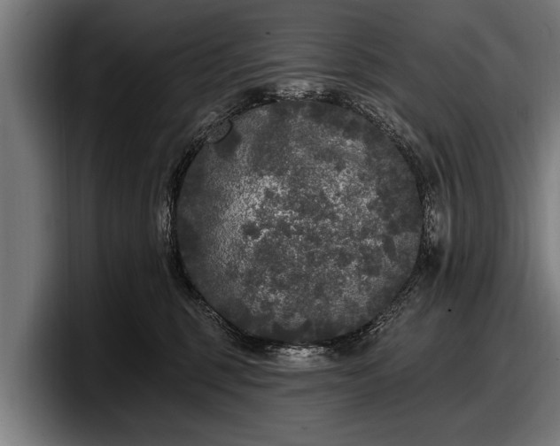 X0000097810375200803201422