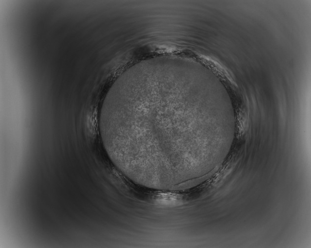 X0000097810376200803201422