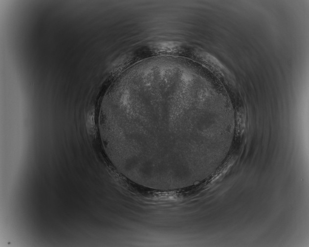 X0000097810377200803201422