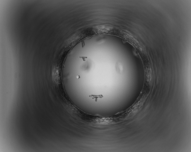 X0000097810378200803201422