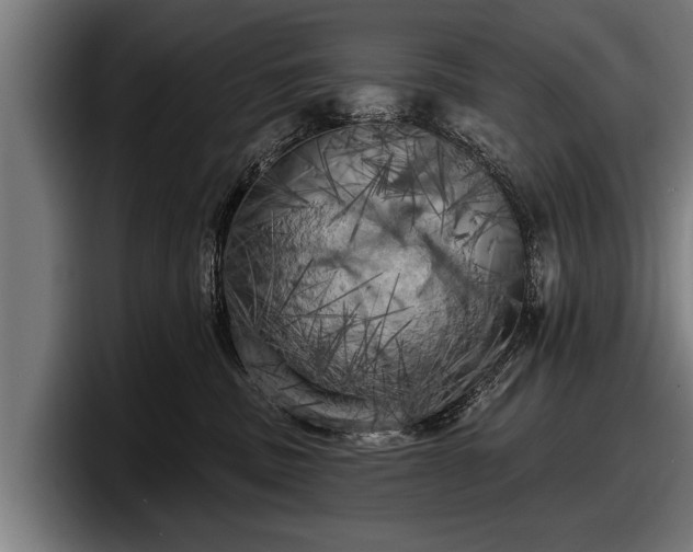X0000097810379200803201422