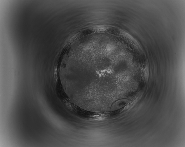 X0000097810381200803201422