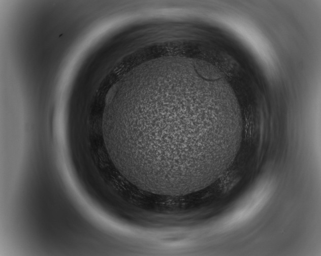 X0000097810383200803201422