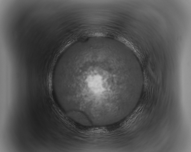 X0000097810386200803201422