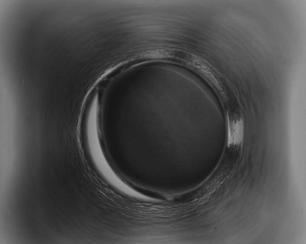 X0000097810387200803201422