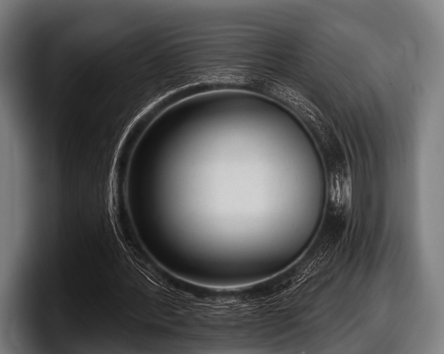 X0000097810388200803201422