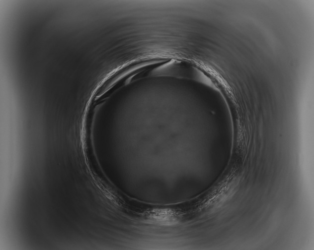 X0000097810391200803201422