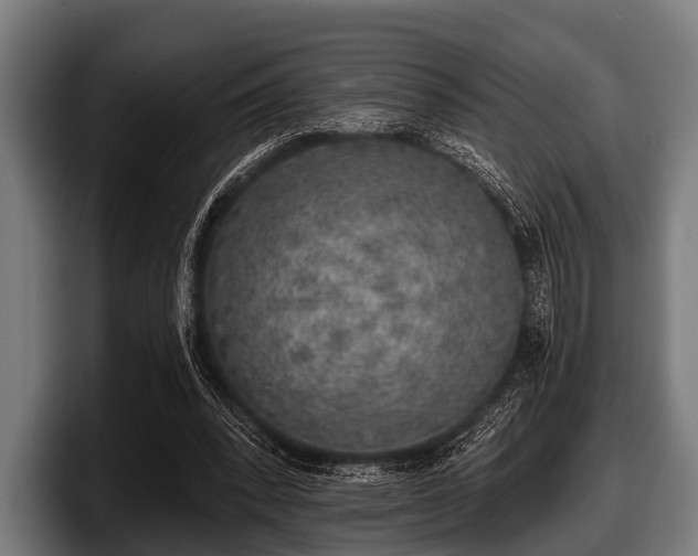 X0000097810392200803201422