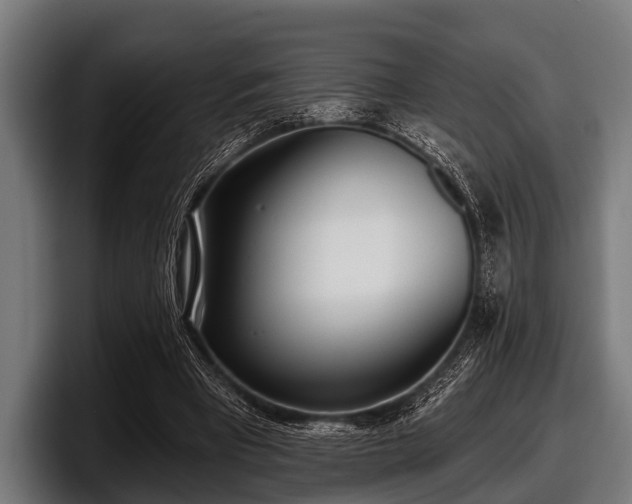 X0000097810393200803201422