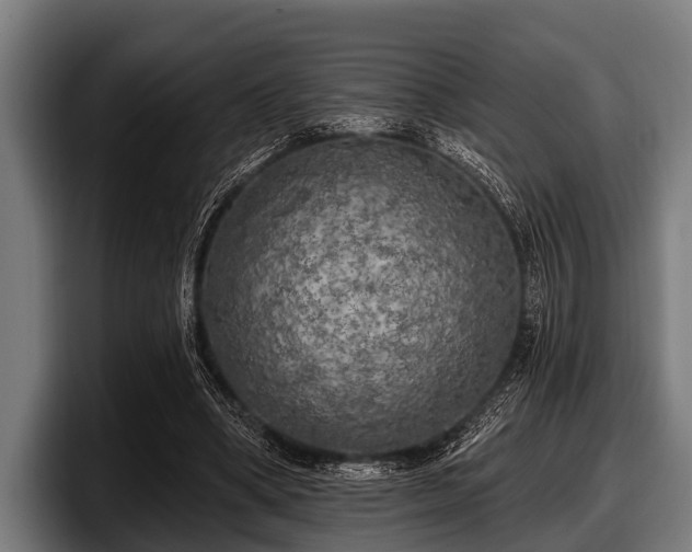 X0000097810394200803201422