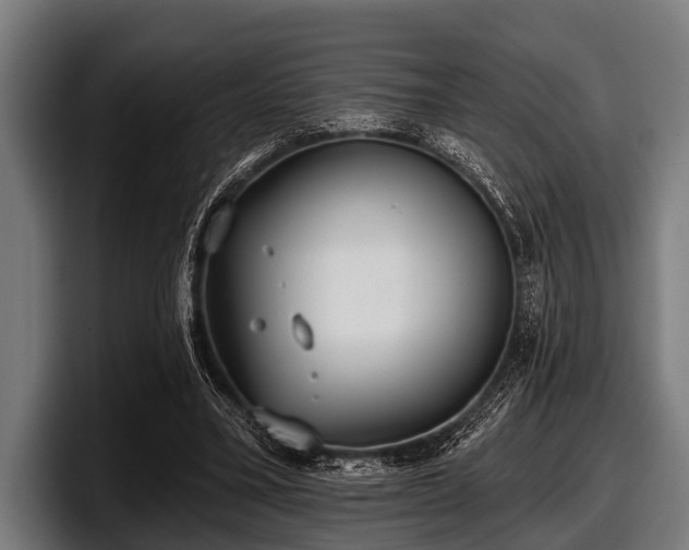 X0000097810395200803201422