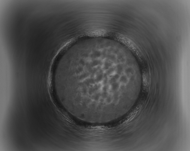 X0000097810396200803201422