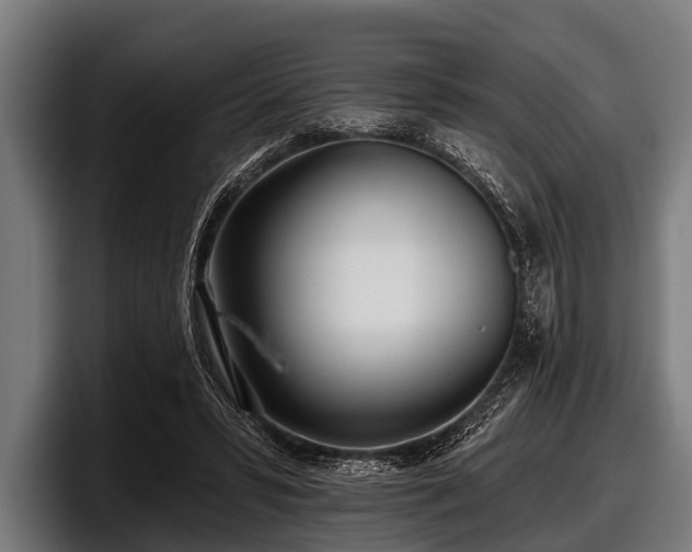 X0000097810399200803201421