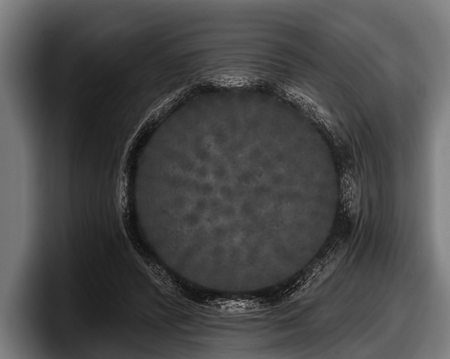 X0000097810400200803201421