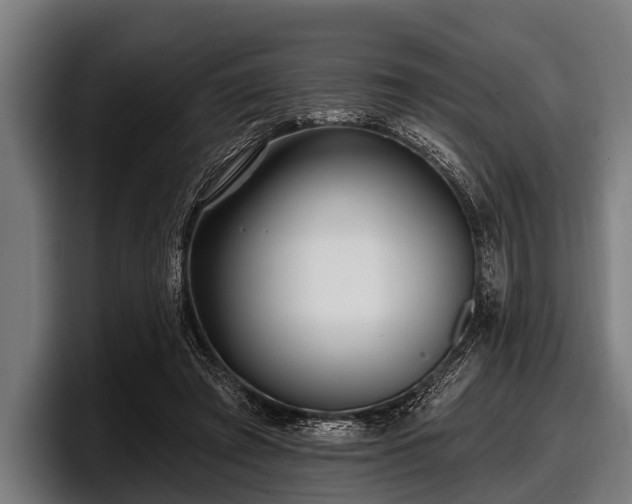 X0000097810401200803201421