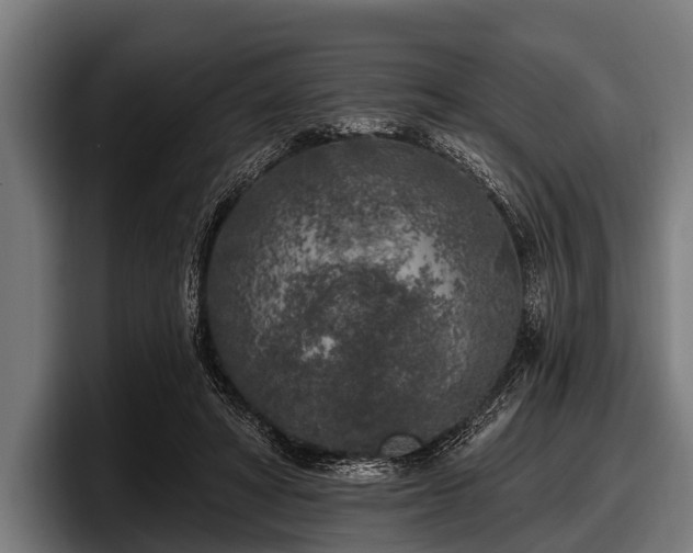 X0000097810402200803201421