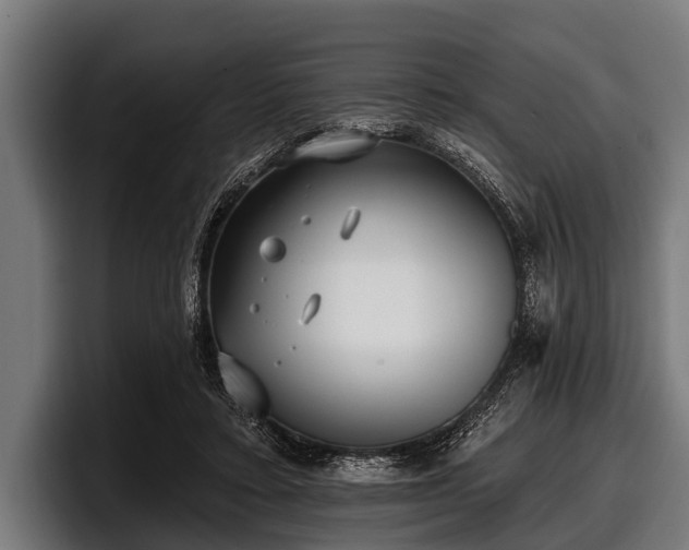 X0000097810403200803201421