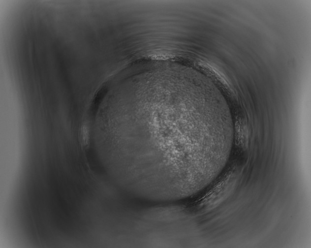 X0000097810404200803201421