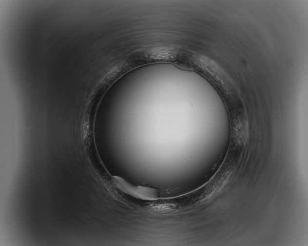 X0000097810407200803201421