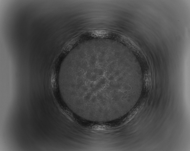 X0000097810408200803201421