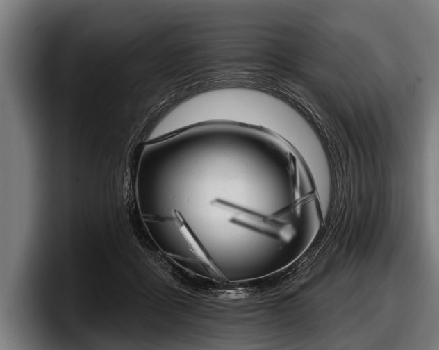 X0000097810411200803201421