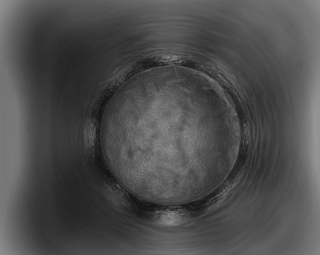 X0000097810412200803201421