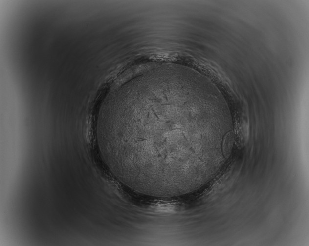 X0000097810416200803201421