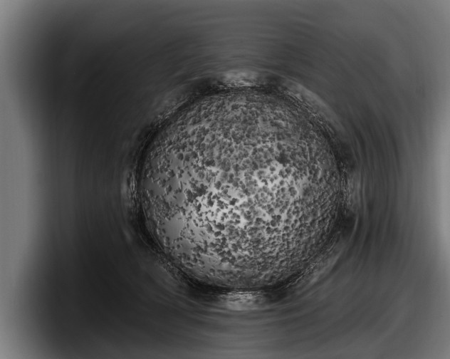 X0000097810418200803201421