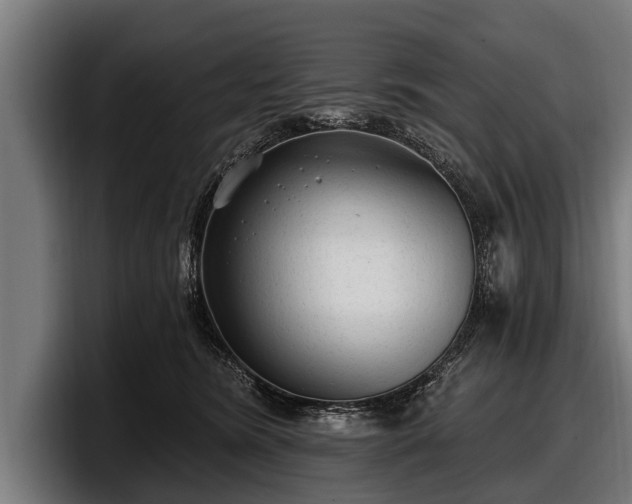 X0000097810420200803201421