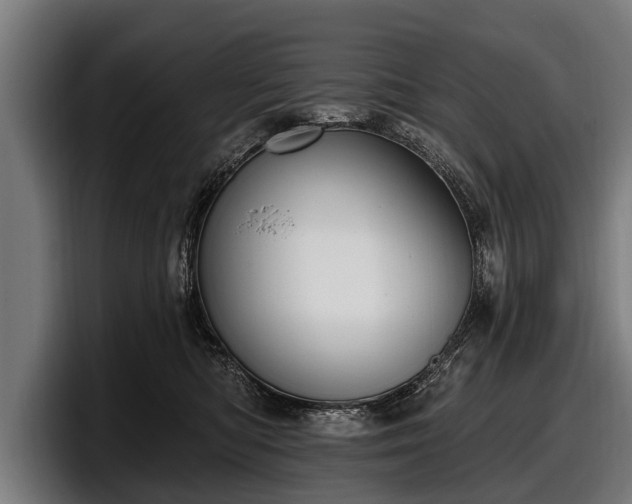 X0000097810422200803201421