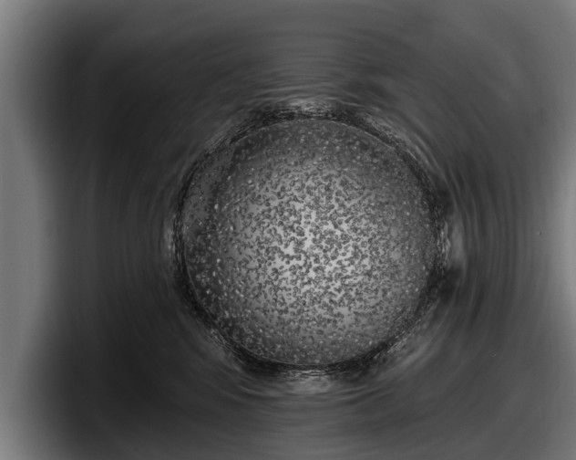 X0000097810424200803201421