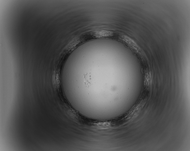 X0000097810426200803201421