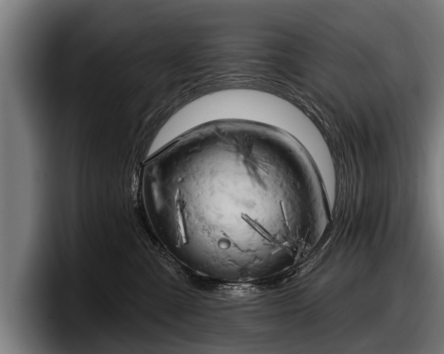 X0000097810427200803201421