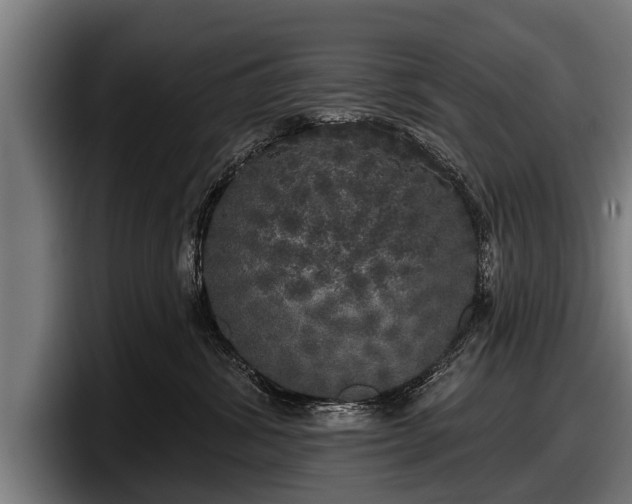 X0000097810428200803201421