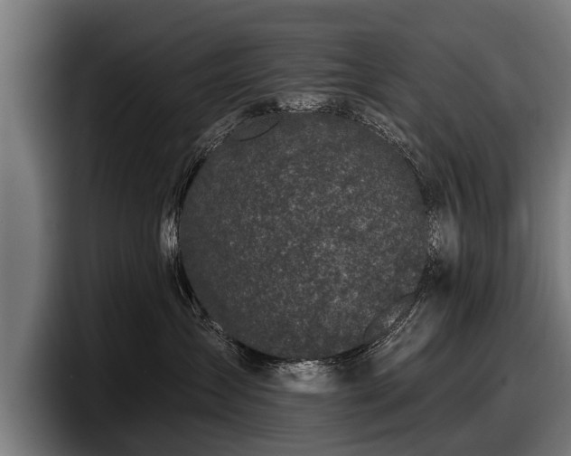 X0000097810431200803201421