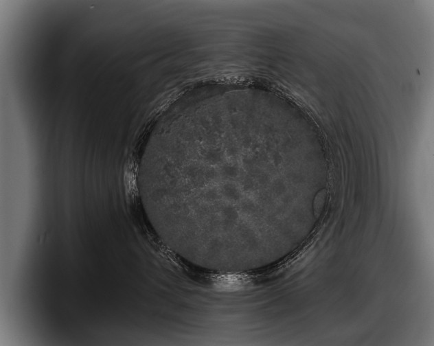 X0000097810432200803201421