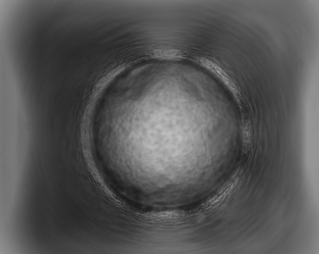 X0000097810433200803201420