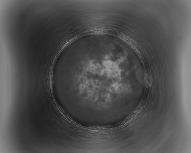 X0000097810434200803201420