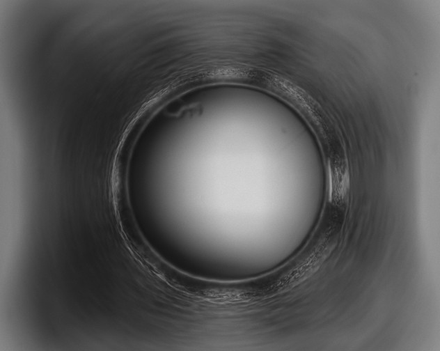 X0000097810435200803201420