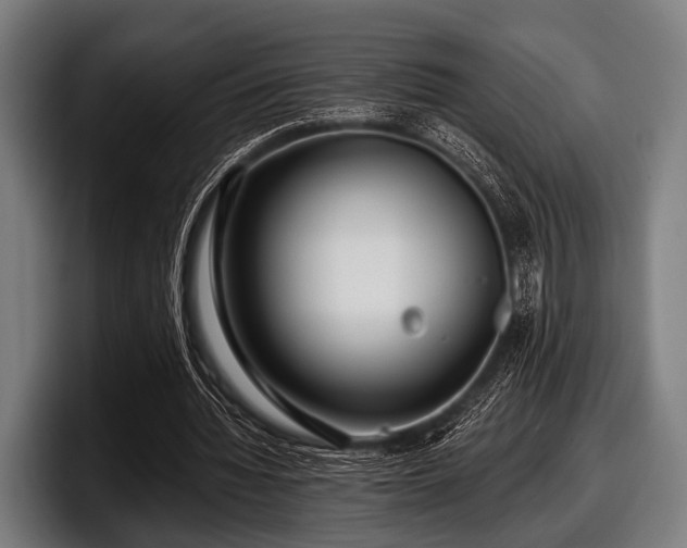 X0000097810436200803201420