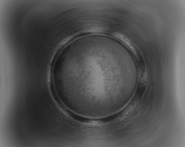 X0000097810437200803201420