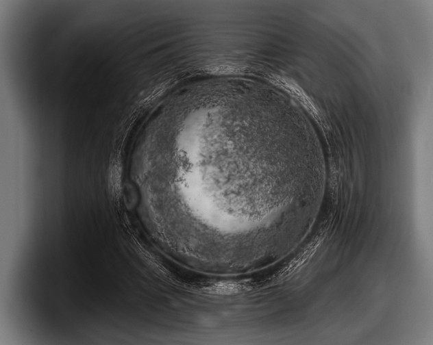 X0000097810441200803201421