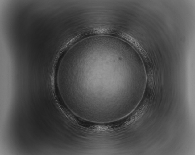 X0000097810442200803201421