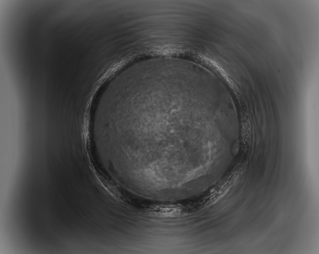 X0000097810443200803201421